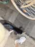 凤凰（Phoenix）星愿碟刹车自行车女男轻便学生青少年成人城市复古通勤变男单车 26寸星愿【单速】奶咖色 金属车筐 实拍图