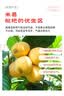 京觅云南蒙自枇杷 净重3斤 单果20g+当季新鲜水果枇杷果 源头直发 实拍图