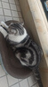 【限量1000单】9cm加高超大防倾倒猫窝猫抓板一体不掉屑耐磨玩具 最大号61cm【适合30斤内】 实拍图