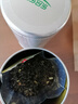 乐品乐茶茉莉花茶茶叶特级川派横县飘雪浓香绿茶新茶袋装250g自己喝送礼袋 实拍图