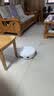iRobot【官方正品】扫地机器人睿宝615拖地洗地机洗拖吸一体吸尘器家用清洗智能避障喷淋自动上下水箱版 上下水版-需确认安装尺寸 实拍图