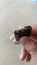 东阿阿胶桃花姬阿胶糕180g*2礼盒装即食阿胶送长辈女礼品七夕情人节礼物 实拍图