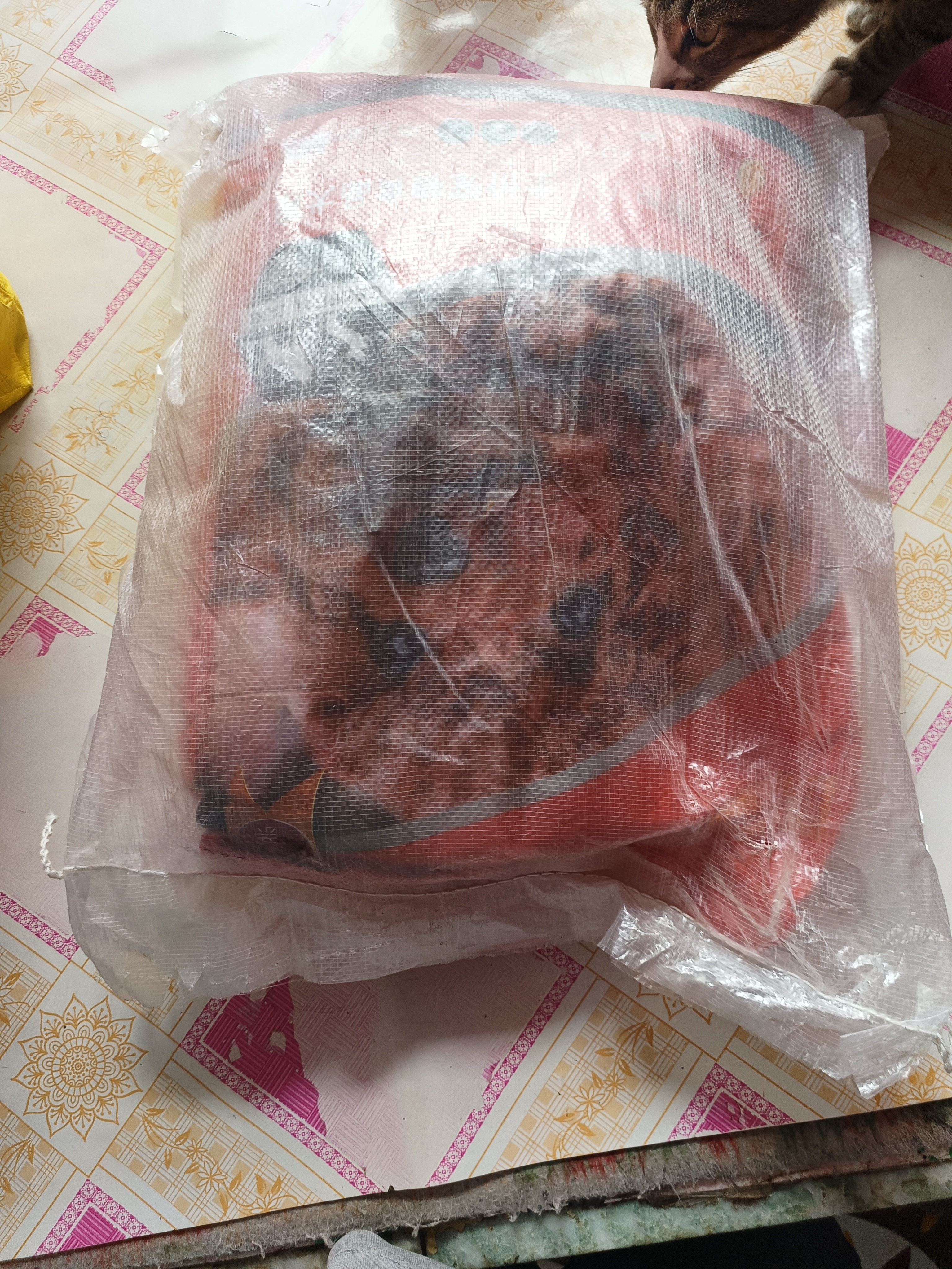 朗亲狗粮泰迪比熊金毛萨摩耶成犬专用小中大型犬通用型狗干粮5kg 实拍图