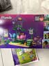 乐高（LEGO）积木好朋友42702 梦幻仙境游乐园男女孩儿童玩具生日礼物 实拍图