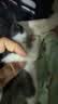 谷登【宠物金选】羊奶粉猫咪专用 幼猫小猫孕猫老年猫宠物羊奶粉200g 实拍图
