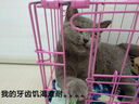 网易严选猫湿粮零食浓汤大口肉罐头鸡肉+三文鱼 85g*24罐 实拍图