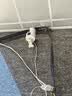 乔安（JOOAN）终身免流量监控摄像头4g网络高清夜视监控器360度无死角带夜视全景云台家用AI监控手机远程 实拍图