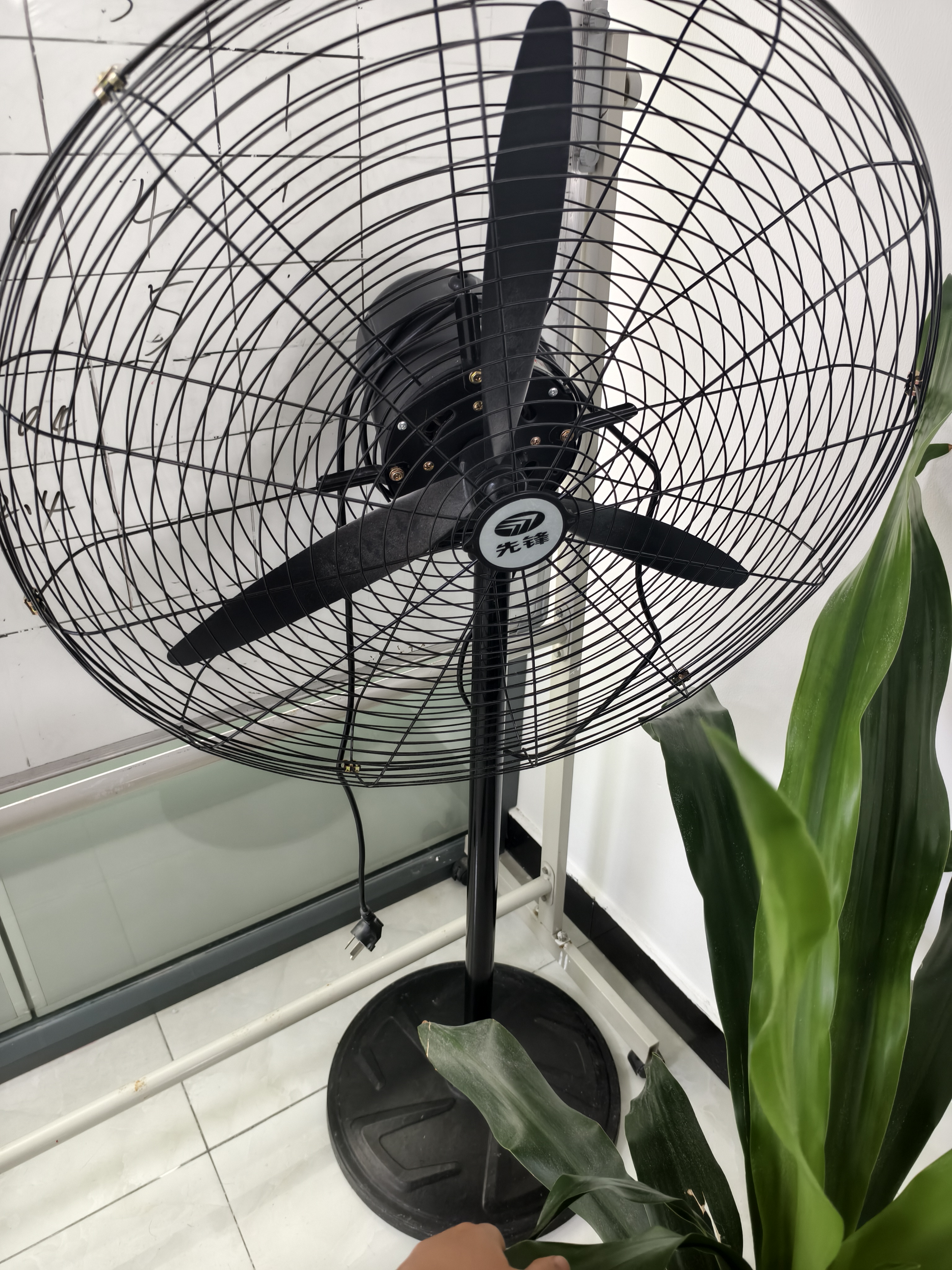 先锋（SINGFUN）工业风扇电风扇大风力落地扇强力牛角扇大功率吹除甲醛壁扇大风扇工厂车间饭店商用摇头风扇  650落地扇-塑钢叶【多仓发货】加粗网 实拍图