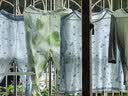 红豆儿童睡衣男女童春夏薄款纯棉家居服套装长袖裤空调服J3135白色140 实拍图