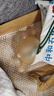 马博士婴儿牙胶磨牙胶棒小蘑菇宝宝安抚玩具防吃神器手牙咬胶3件套 实拍图