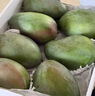 京鲜生 攀枝花【即食大果】凯特芒果 净重10斤 单果700g 5-7颗 生鲜礼盒 实拍图
