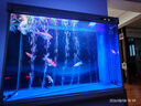 瓦克（WACKER）121大型鱼缸胶水族馆玻璃胶水族箱密封胶防霉防水速干型透明色 实拍图