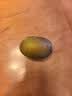 佳沛（zespri）新西兰 阳光金奇异果12粒特大果单果124-146g 猕猴桃水果礼盒 实拍图