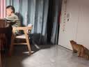 妙洁胶棉拖把38cm杆长132共2头对折式大懒人家用一拖净免手洗海绵吸水 实拍图