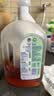 滴露（Dettol）消毒液消毒水衣物除菌液洗衣服地板杀菌除螨消毒喷雾片非84次氯酸 【杀菌除螨】经典消毒液1.8L 晒单实拍图