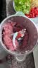 九阳（Joyoung）绞肉机家用不锈钢 绞馅机电动碎肉机 辅食机家庭多功能双刀 自动打肉馅机S20-LA362(D) 实拍图