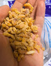赶海弟 五星金钩海米500g虾米虾干 淡干小虾仁干虾皮 火锅食材 南北干货 实拍图
