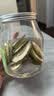 江萃冻干香水柠檬片精选无籽不加糖100gVC泡水喝冷泡茶冲饮果水果茶包 实拍图