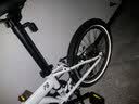 大行（DAHON）折叠自行车20英寸8级变速经典P8单车KBC083 白色经典版--京仓 实拍图