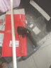 德力西电气（DELIXI ELECTRIC）ppr水管剪刀pvc割刀切管器专业剪热熔机pe管子剪管刀快剪 42mm 实拍图