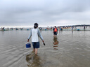漫生活赶海工具套装沙滩挖沙玩具铁锹锄头水桶铲子夹子耙挖土种菜6件套 实拍图