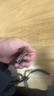 新款创意小狗背包挂件车载亚克力平面挂饰可爱钥匙扣送闺蜜款吊坠 蓝泰迪1个 实拍图