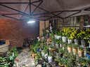 瑞丰年全光谱植物补光灯仿太阳光充电款防水led室内落地支架绿植生长灯 【全光谱补光灯】 1500W型-白光-续航8-48H 实拍图