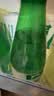 Perrier巴黎水 法国进口气泡水 天然矿泉水500ml*24瓶-26年12月效期 实拍图