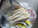 黄小渔宁德三去黄花鱼600g/4条大黄鱼生鲜海鲜水产深海鱼类清蒸烧烤 实拍图