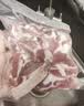 京东跑山猪黑猪肋排块 4斤 免切含软骨煲汤红烧烧烤生鲜食材 实拍图