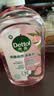 滴露（Dettol）香氛自然衣物消毒液48H留香洗衣除臭儿童可用消毒水杀菌除螨1L*2 实拍图