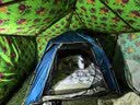 Naturehike挪客辰景内置泵PVC加高户外充气床垫帐篷充气垫露营睡垫户外 实拍图