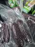 京鲜生云南版纳紫拇指小玉米500g 非转基因甜糯玉米棒手指玉米宝宝早餐 实拍图
