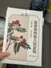 葵花三伏天儿童成人中药脾胃虚寒肚脐吴茱萸肉桂元气茯苓八珍三伏足贴 实拍图