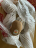 佳沛（zespri）新西兰阳光金果10个装单果重约103-114g 水果礼盒 猕猴桃 实拍图