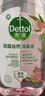 滴露（Dettol）香氛自然衣物消毒液48H留香洗衣除臭儿童可用消毒水杀菌除螨1L*2 实拍图