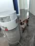 霍尼韦尔（Honeywell）宠物空气净化器吸猫毛除过敏源猫猫搭子 猫毛净化器杀菌消毒除异味KJ360F-C22W 实拍图