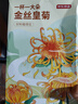 维特丝清香定型喷雾发胶 男士头发造型蓬松哑光定型自然持久干胶420ml*2 实拍图