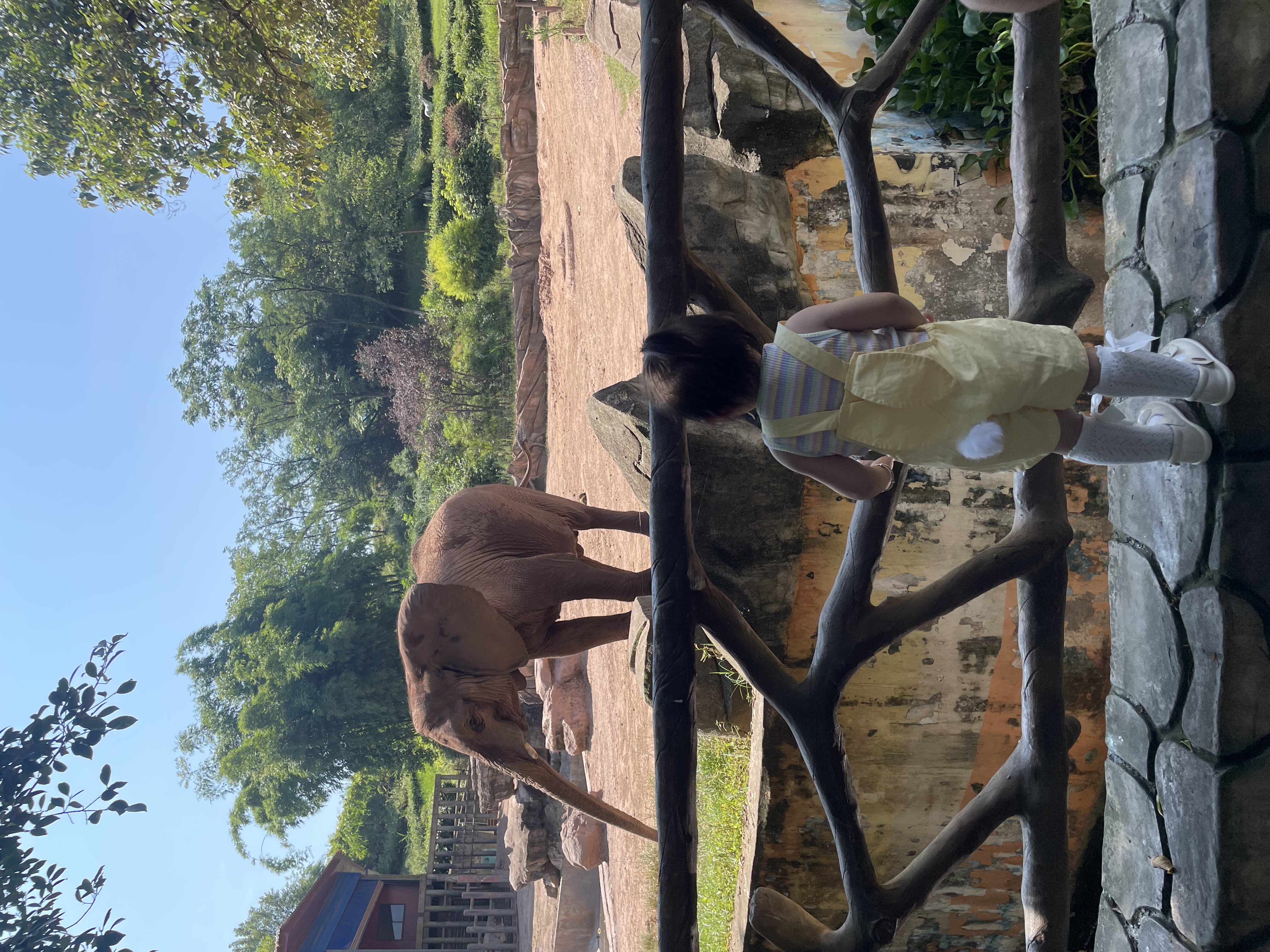 G.duck小黄鸭童装女夏装一周岁衣服女宝宝0-3岁婴儿套装5小童女孩两件套 兔头背带无袖套装黄色 90 尺码1~2岁【 80-90cm】 实拍图