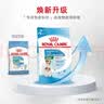 皇家狗粮幼犬奶糕幼犬狗粮宠物小型犬MIS30全价犬粮 ≤2月3KG 实拍图