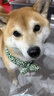 德佑婴儿一次性隔尿垫25*33cm80片护理垫吸水不反渗建议6kg以内 实拍图