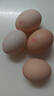 京鲜生 无抗保洁鲜鸡蛋30枚/盒 健康轻食 礼盒送礼 1.5kg/盒 源头直发 实拍图