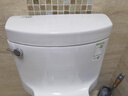 科勒（KOHLER）马桶家用五级旋风虹吸大冲力节水坐便器缓降盖板连体马桶 虹吸旗舰款-连体马桶 坑距390以上选 400mm 实拍图