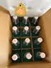 出口小方瓶牌 北京二锅头 翡翠 清香型白酒 42度 500ml*12瓶 整箱装 实拍图