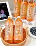 康师傅 茉莉蜜茶 茉莉花茶饮料 小瓶整箱装 330ml*12瓶 热门商品 实拍图