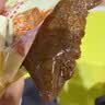 宏香记双夹心灯影肉丝牛肉豆脯500g*1袋手撕豆干休闲办公解馋零食 实拍图