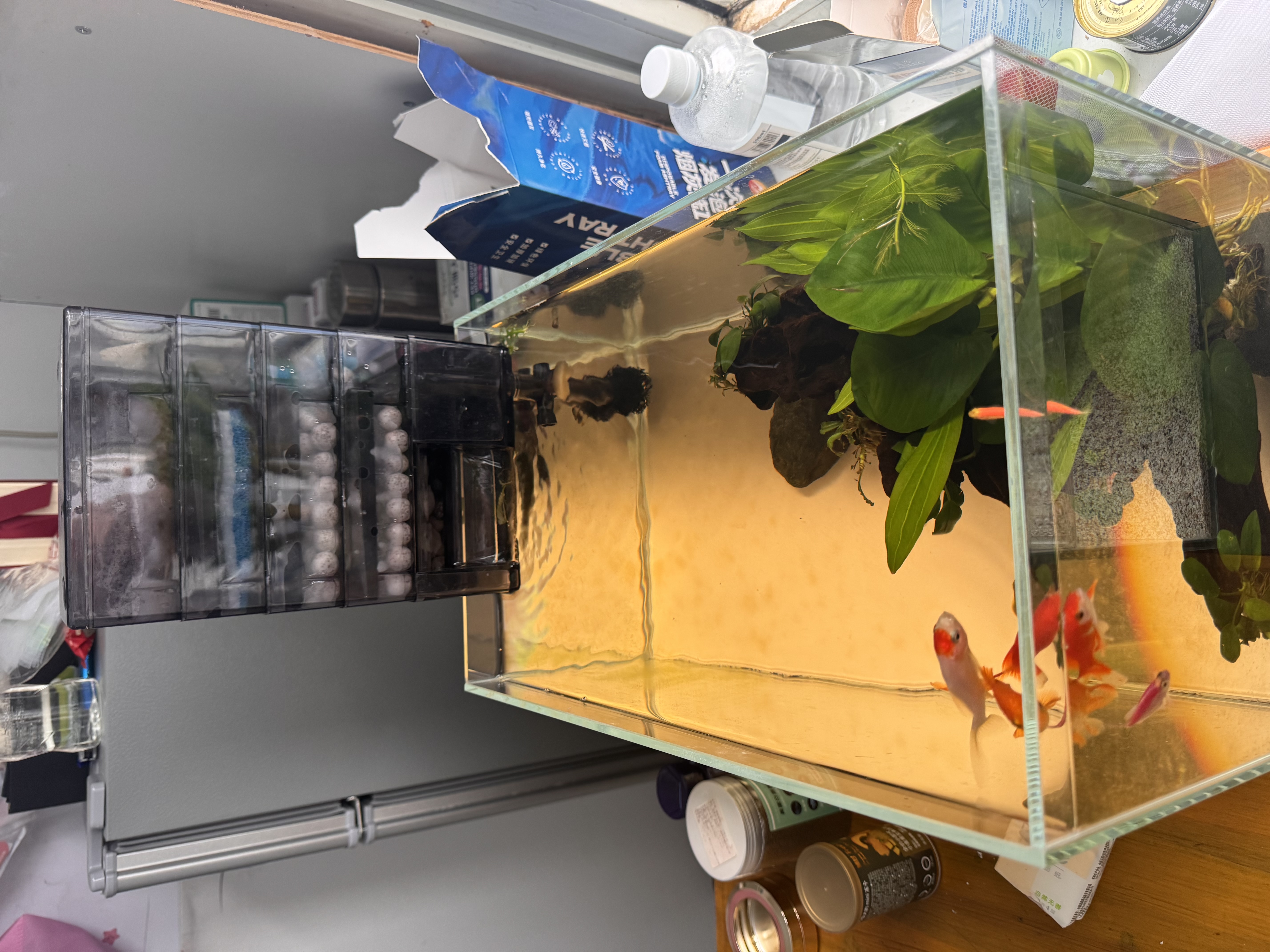 金利佳小鱼缸过滤器净水瀑布循环三合一增氧壁挂过滤小型鱼缸专用水泵 双层干湿分离盒【007Ultra专用】 实拍图