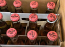 科罗娜（CORONA）特级啤酒330ml*12瓶啤酒整箱装经典拉格京东自营 实拍图