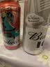 百威啤酒冰啤500ml*18听+淡色拉格450ml*3听组合装618组合 实拍图