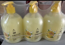六神【抑菌99.9%】金盏菊洗手液500ml*3(清爽温和泡沫均衡滋润) 实拍图